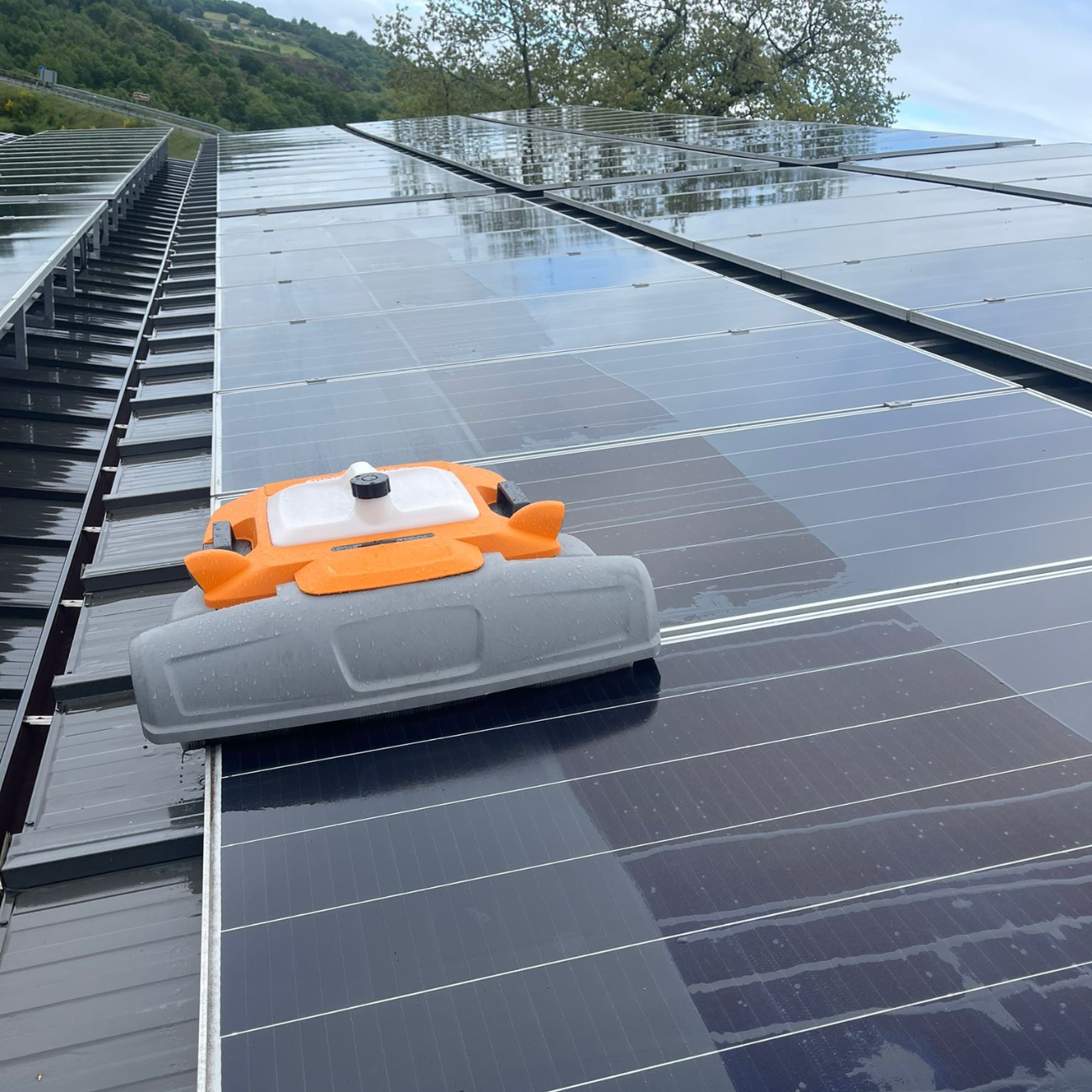 Robot for cleaning PV panels RDN12